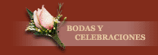 destino de bodas en sinaloa